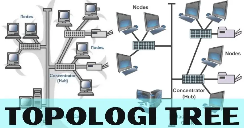 Topologi Tree